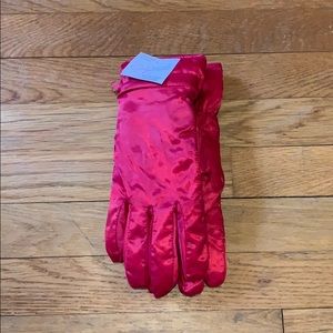 Cold Weather Ski Gloves